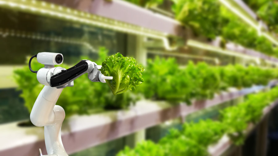 Innovation in agriculture: farming robot