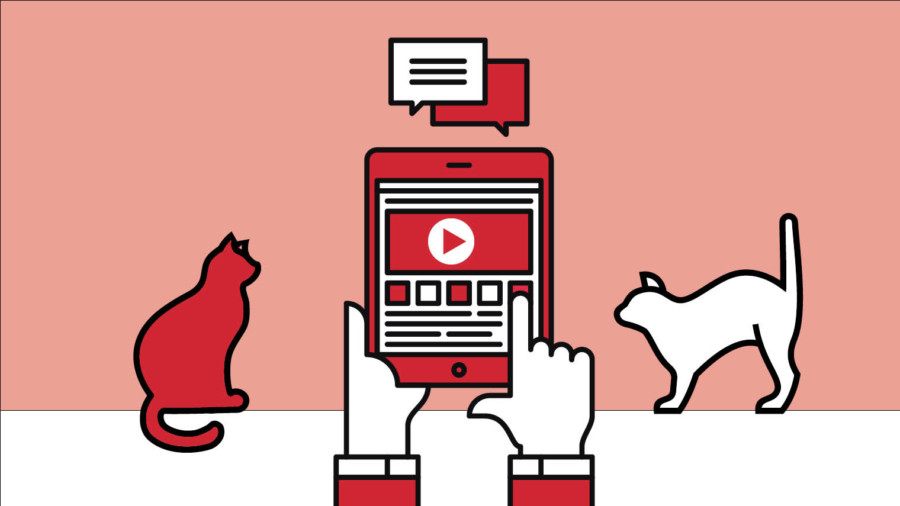YouTube cats