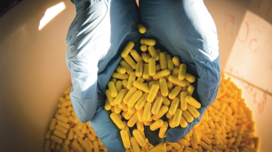 Plastic gloves holding yellow pills