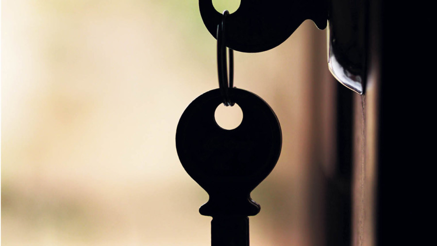 Key in a house door
