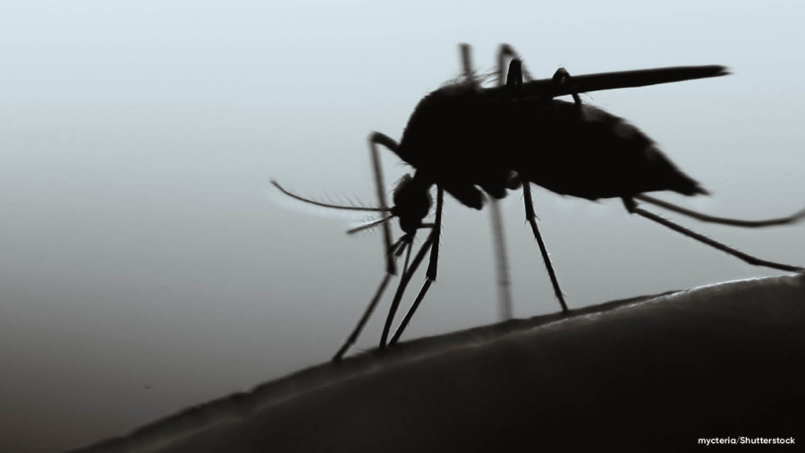 Cloud humanitarian - malaria