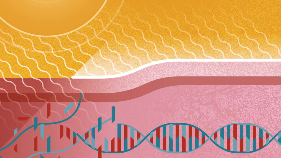 Skincare and dermatology illustration