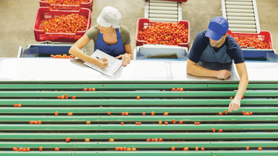Tech innovation in food industry