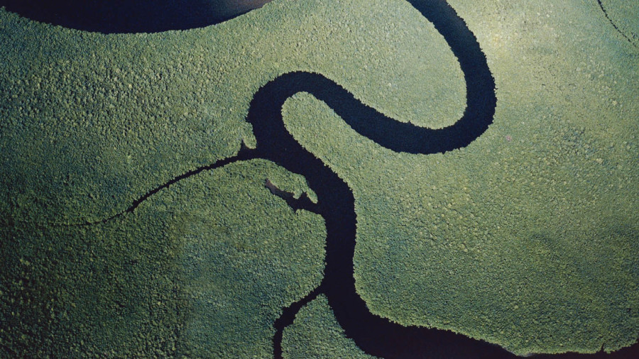 Amazon River
