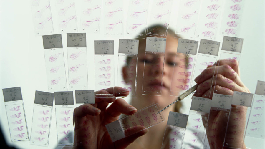 Scientist carrying out medical research experiment