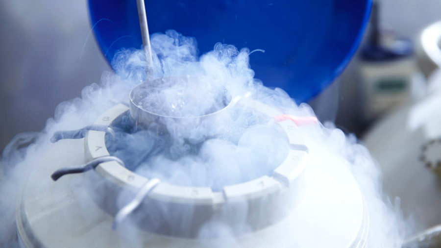 Egg freezing