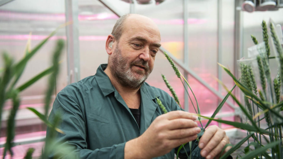 eu-gene-editing-food