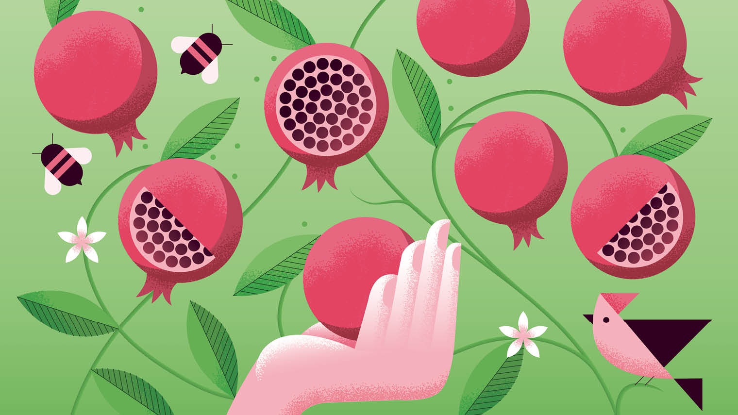 Understanding Fertility