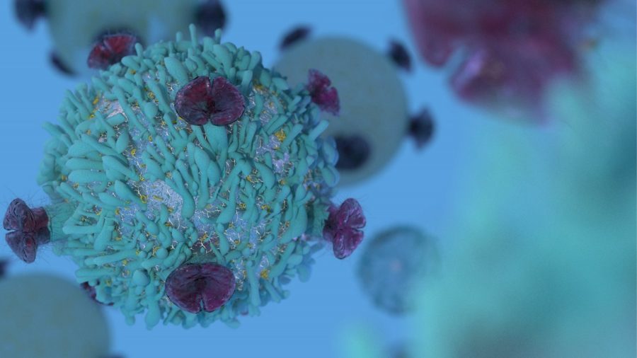 immunotherapy