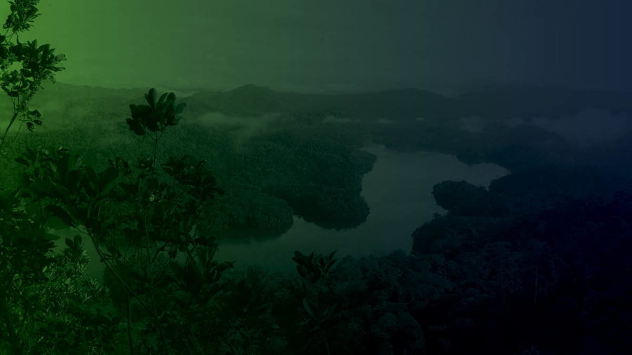 5 forward thinking examples changing supply chain