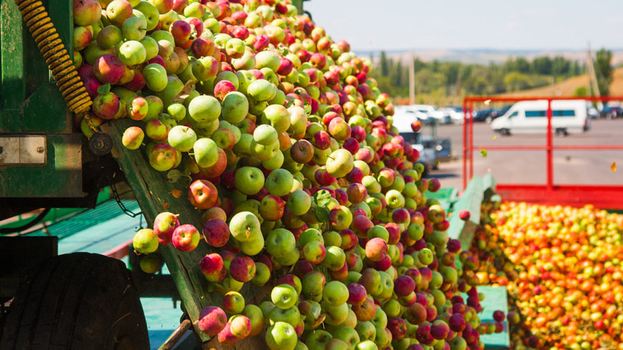 Carbon footprint food