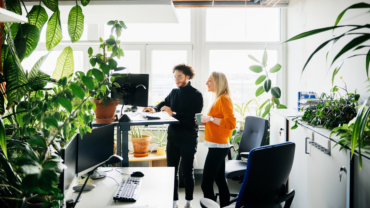 Two Colleagues Looking At Work Using Standing Desk