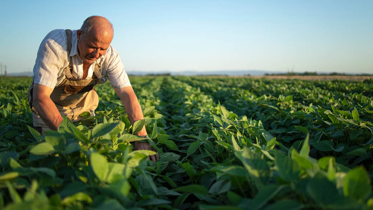 how-to-cultivate-sustainable-food-and-beverage-supply-chains