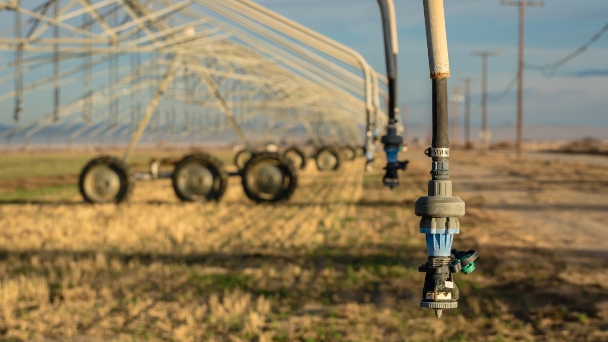 Climatologist drought