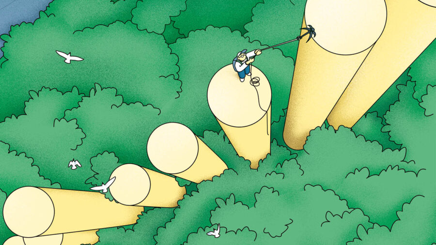 how-to-judge-the-roi-of-your-sustainability-efforts