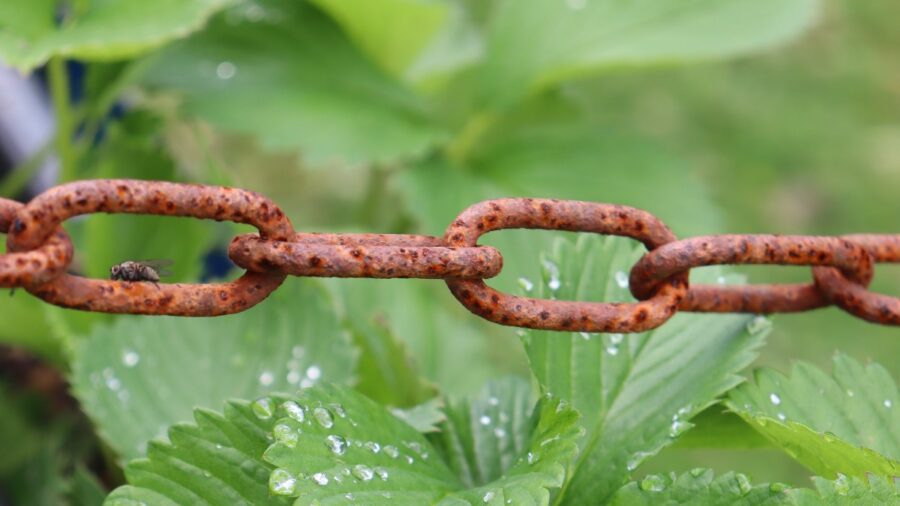 green-supply-chain-choices-make-for-marketing-wins